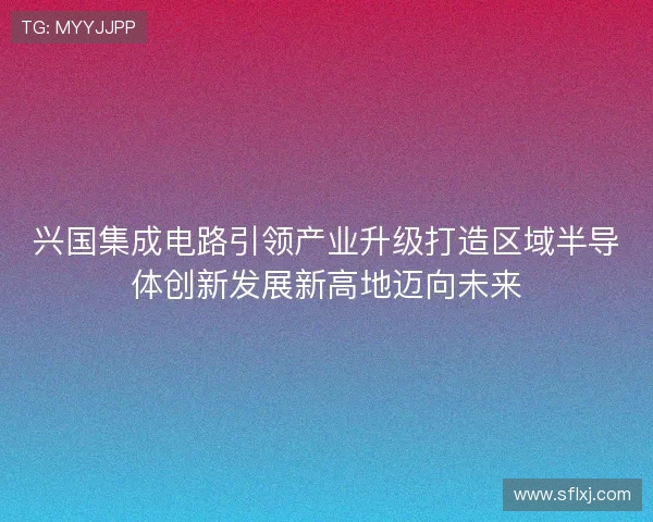 兴国集成电路引领产业升级打造区域半导体创新发展新高地迈向未来